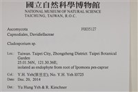 登錄號:F0035127藏品圖，第2張