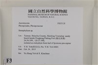 登錄號:F0035128藏品圖，第2張