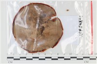 登錄號:F0035128藏品圖，第1張
