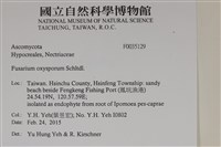 登錄號:F0035129藏品圖，第2張