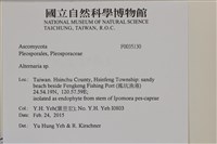 登錄號:F0035130藏品圖，第2張