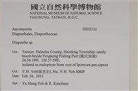 登錄號:F0035132藏品圖，第2張