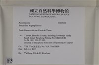 登錄號:F0035134藏品圖，第2張