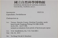 登錄號:F0035136藏品圖，第2張