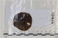 登錄號:F0035136藏品圖，第1張