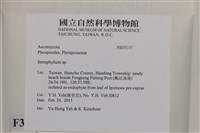 登錄號:F0035137藏品圖，第2張