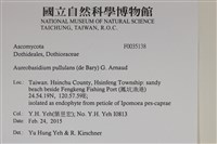 登錄號:F0035138藏品圖，第2張