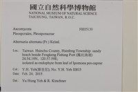 登錄號:F0035139藏品圖，第2張