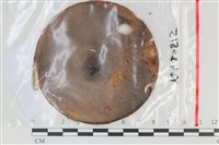 登錄號:F0035139藏品圖，第1張