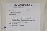 登錄號:F0035140藏品圖，第2張