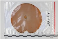 登錄號:F0035140藏品圖，第1張