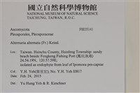 登錄號:F0035141藏品圖，第2張