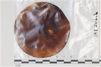 登錄號:F0035141藏品圖，第1張