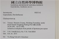 登錄號:F0035142藏品圖，第2張