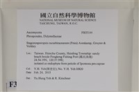 登錄號:F0035144藏品圖，第2張