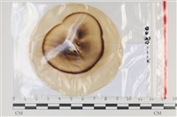 登錄號:F0035144藏品圖，第1張