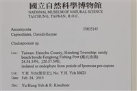 登錄號:F0035145藏品圖，第2張