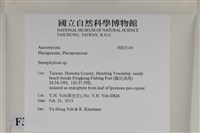 登錄號:F0035146藏品圖，第2張