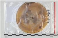 登錄號:F0035146藏品圖，第1張