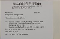 登錄號:F0035147藏品圖，第2張