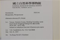 登錄號:F0035148藏品圖，第2張
