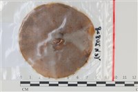 登錄號:F0035148藏品圖，第1張