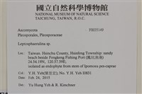 登錄號:F0035149藏品圖，第2張