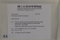 登錄號:F0035150藏品圖，第2張