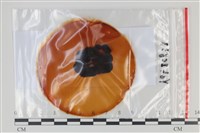 登錄號:F0035150藏品圖，第1張