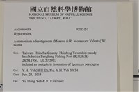 登錄號:F0035151藏品圖，第2張