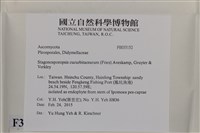 登錄號:F0035152藏品圖，第2張
