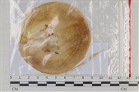 登錄號:F0035152藏品圖，第1張