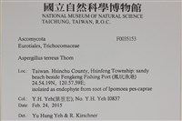 登錄號:F0035153藏品圖，第2張