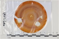 館號:F0035154藏品圖，第1張