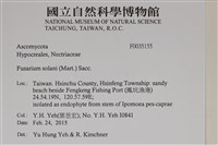 登錄號:F0035155藏品圖，第2張