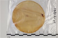 登錄號:F0035155藏品圖，第1張