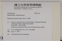 登錄號:F0035156藏品圖，第2張