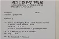 登錄號:F0035157藏品圖，第2張