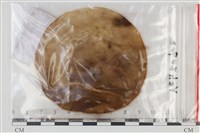 登錄號:F0035157藏品圖，第1張