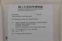 登錄號:F0035158藏品圖，第2張