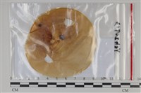 登錄號:F0035158藏品圖，第1張