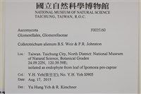 登錄號:F0035160藏品圖，第2張