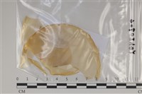 登錄號:F0035161藏品圖，第1張