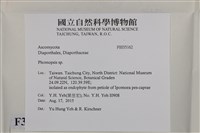登錄號:F0035162藏品圖，第2張
