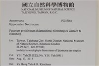 登錄號:F0035164藏品圖，第2張