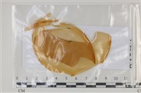 登錄號:F0035164藏品圖，第1張