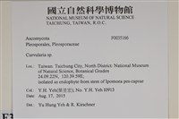 登錄號:F0035166藏品圖，第2張