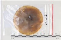 登錄號:F0035166藏品圖，第1張