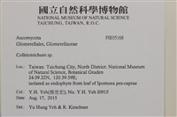 登錄號:F0035168藏品圖，第2張