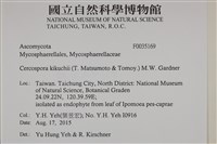 登錄號:F0035169藏品圖，第2張